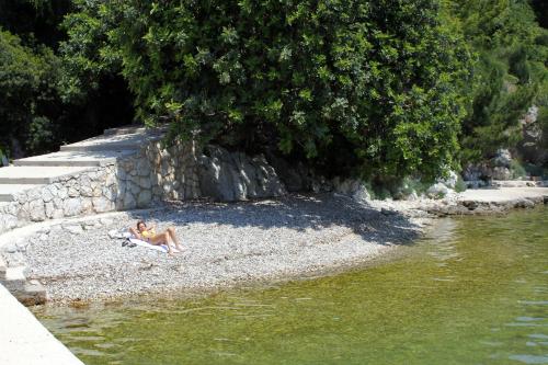 Apartments by the sea Zaton Mali 12120