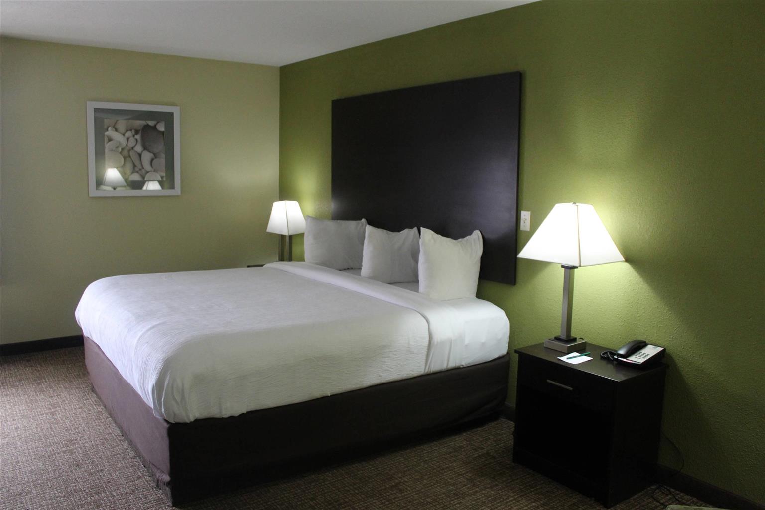 Quality Inn and Suites University Area - photo 22