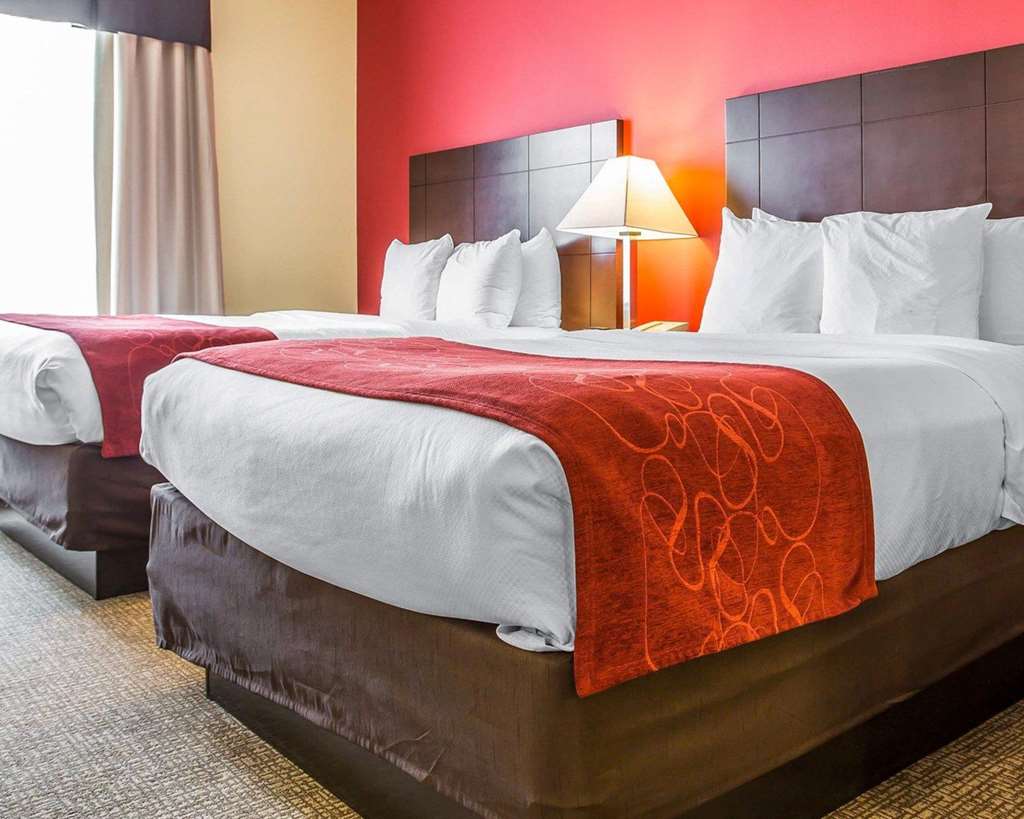 Comfort Suites Rock Hill Manchester Meadows Area - photo 8