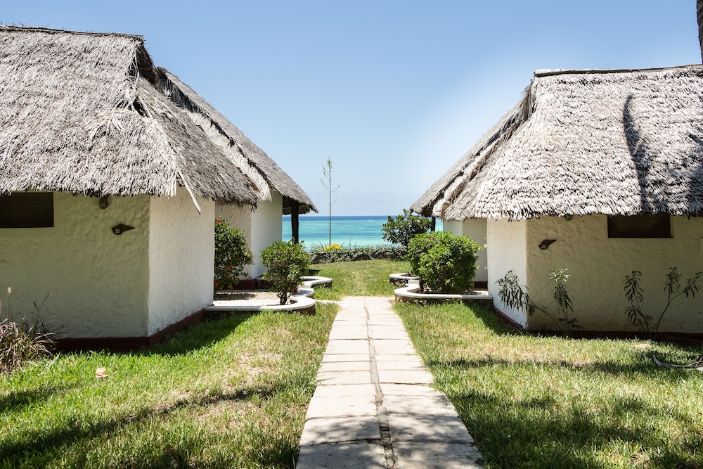 שטחי חוץ / גן