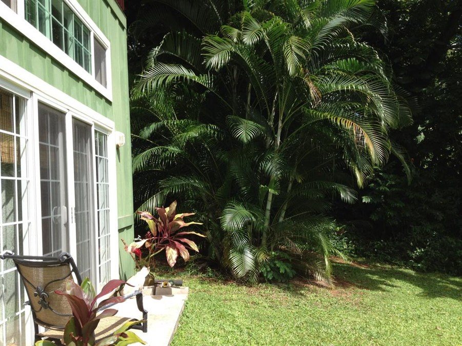 Heavenly Hana Paradise — hotel in Hana