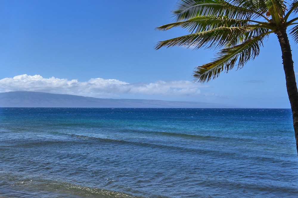 Mahana Resort #305 1 Br Condo - photo 13