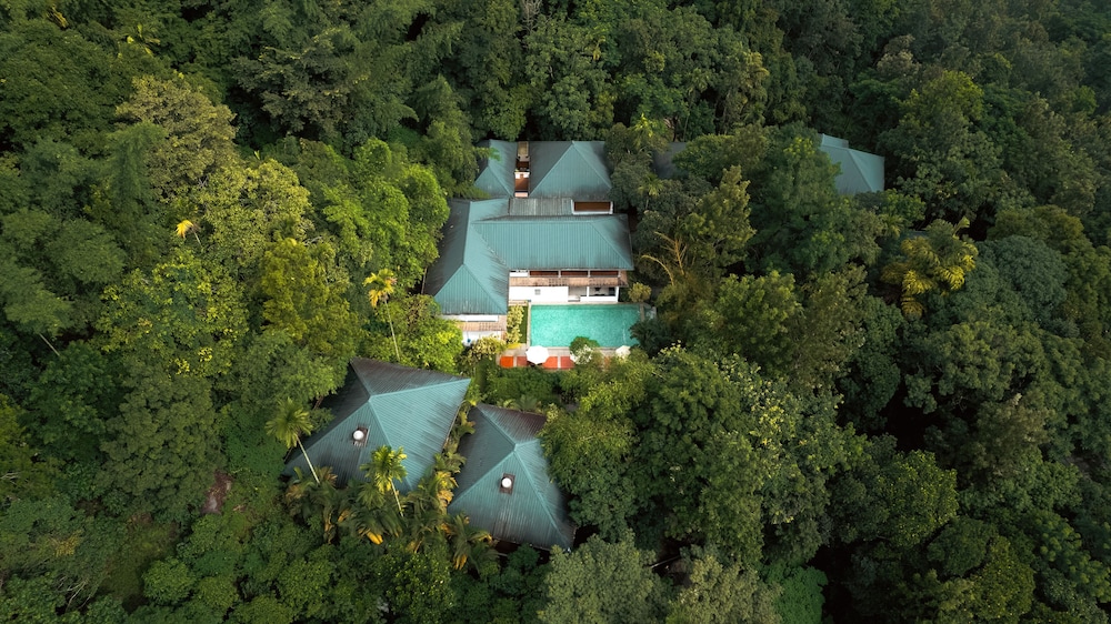 Wayanad Coffee Trail
