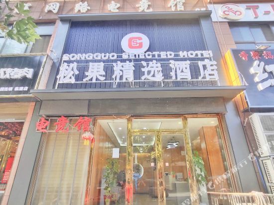 Xi 'an Pinecone Hotel - last minute hotel in Xi'an