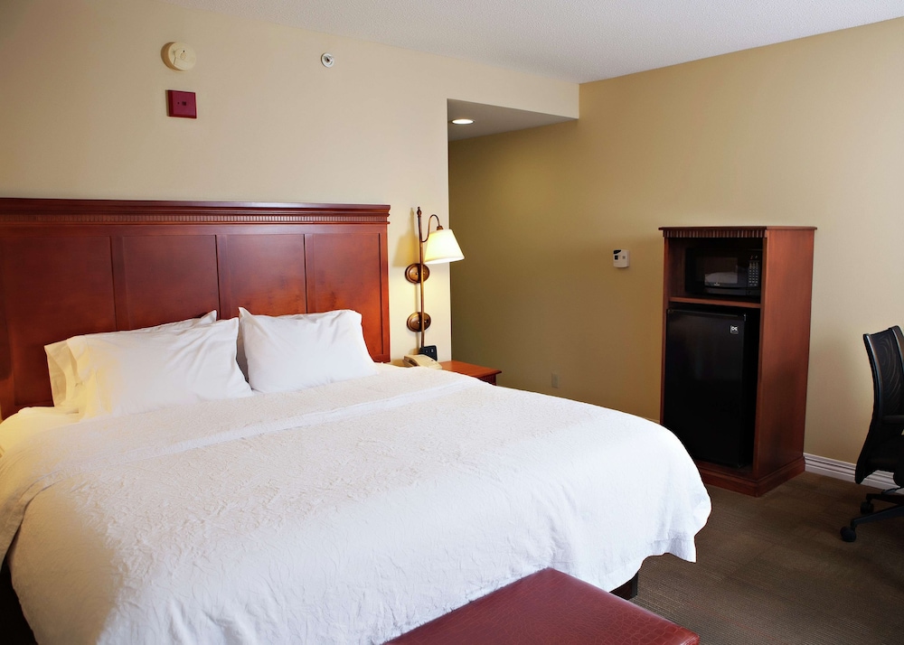 Hampton Inn Martin - photo 26