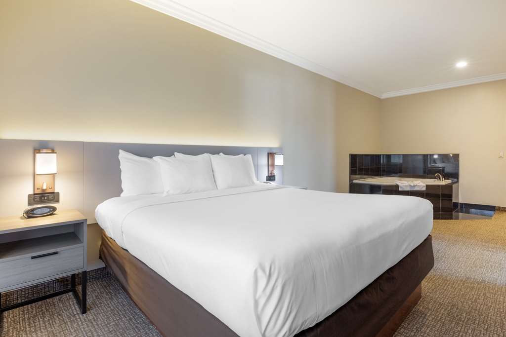 Comfort Suites Oceanside Camp Pendleton Area - photo 32