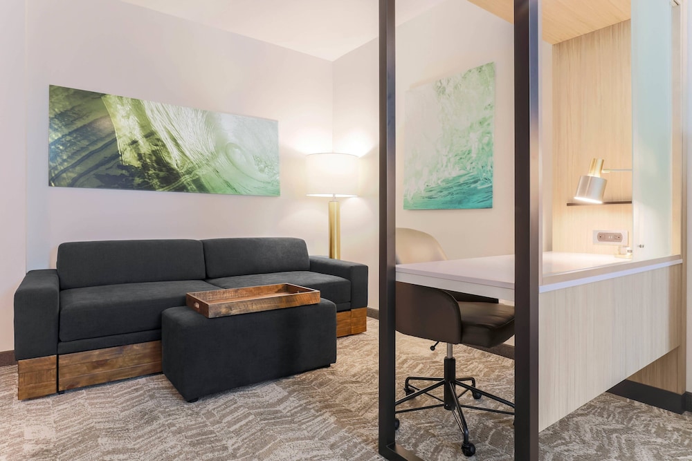 SpringHill Suites by Marriott Tallahassee North - photo 9