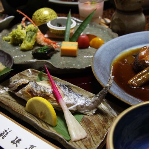 Meisho Tenryukyo Onsen Ryukyotei in Iida, Japan