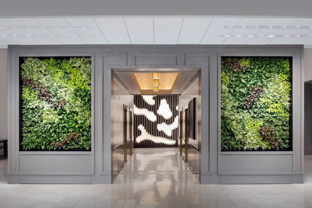 The Westin Dallas Fort Worth Airport - photo 35