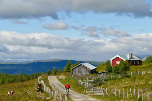 Bualie Golsfjellet Biking swimmming hiking. High standard. — 4-Star Luxury Hotel in Gol, Norway