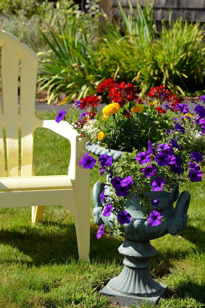 Shorelands Guest Resort and Cottages - photo 45