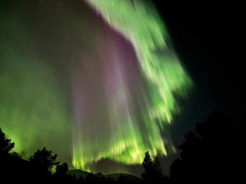 Welcome Inn Hotel Lyngskroa — Tromso