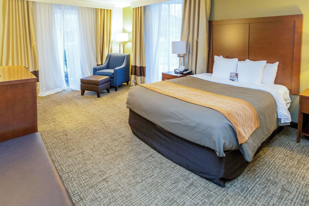 Comfort Inn Salt Lake City Downtown - photo 38