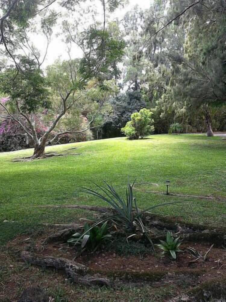 Hale Kukui Orchard & Cottages - photo 26