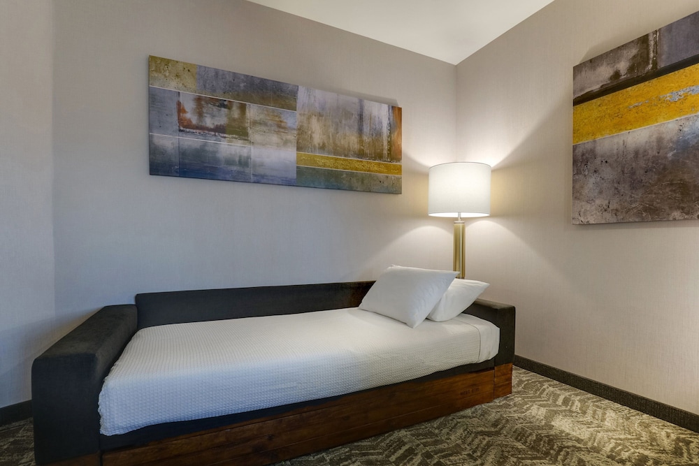 SpringHill Suites by Marriott Cheraw - photo 10