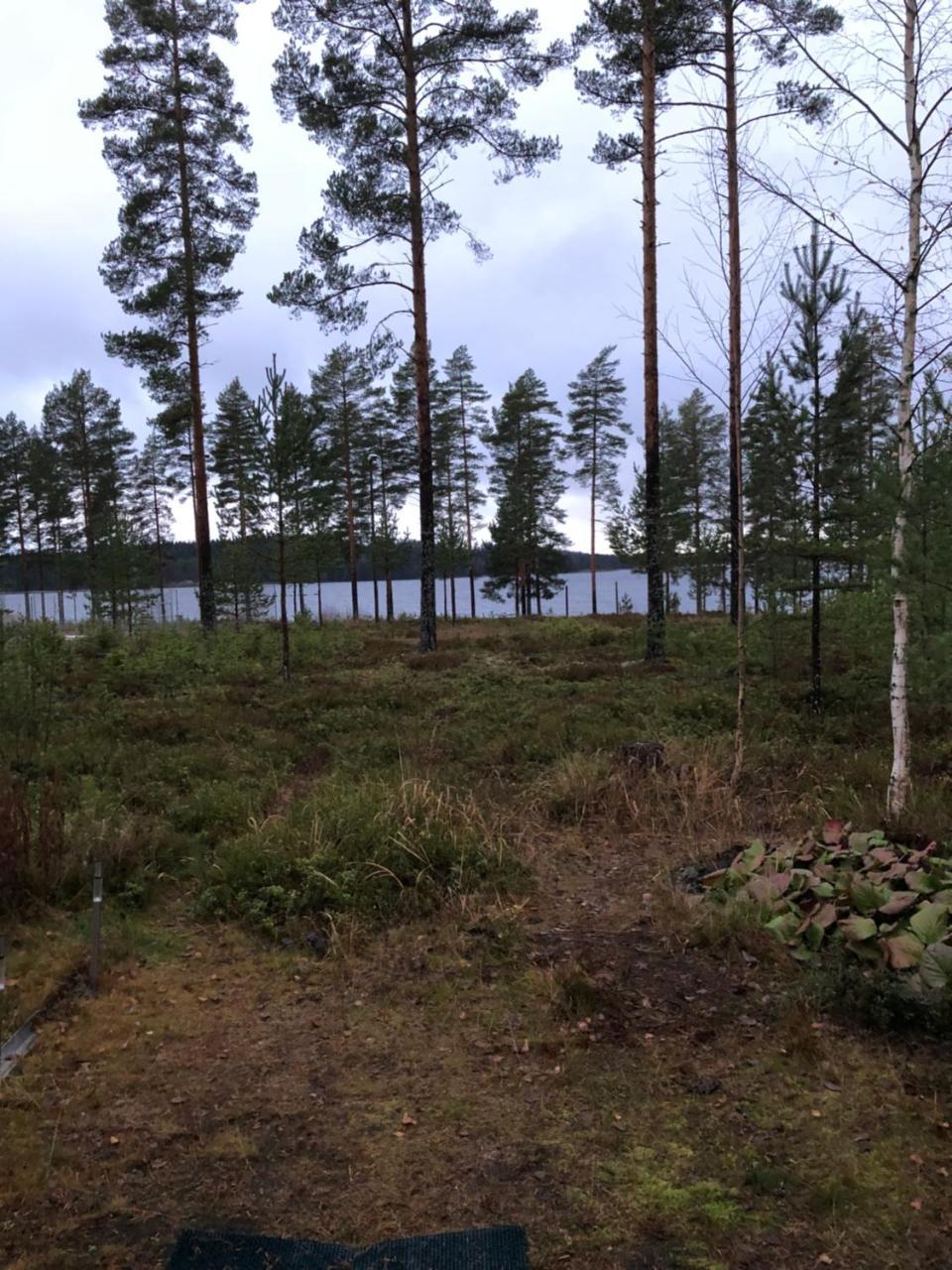 Joutiaisentie I 55 Forest Apartment — 4-Star Luxury Hotel in Joutsa, Finland