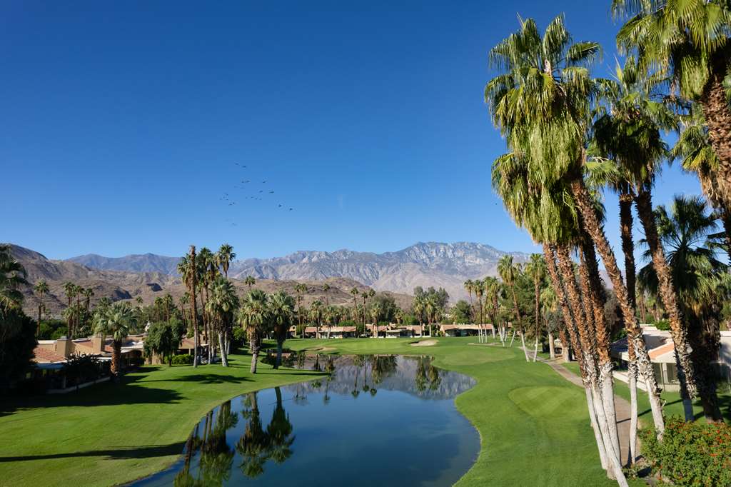 Hyatt Vacation Club at Desert Oasis - photo 18