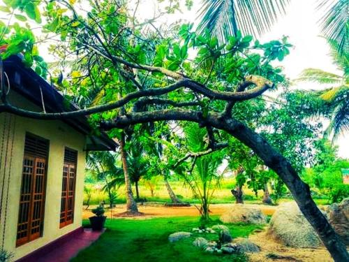 Green Sapphire Holiday Resort Wilpaththu
