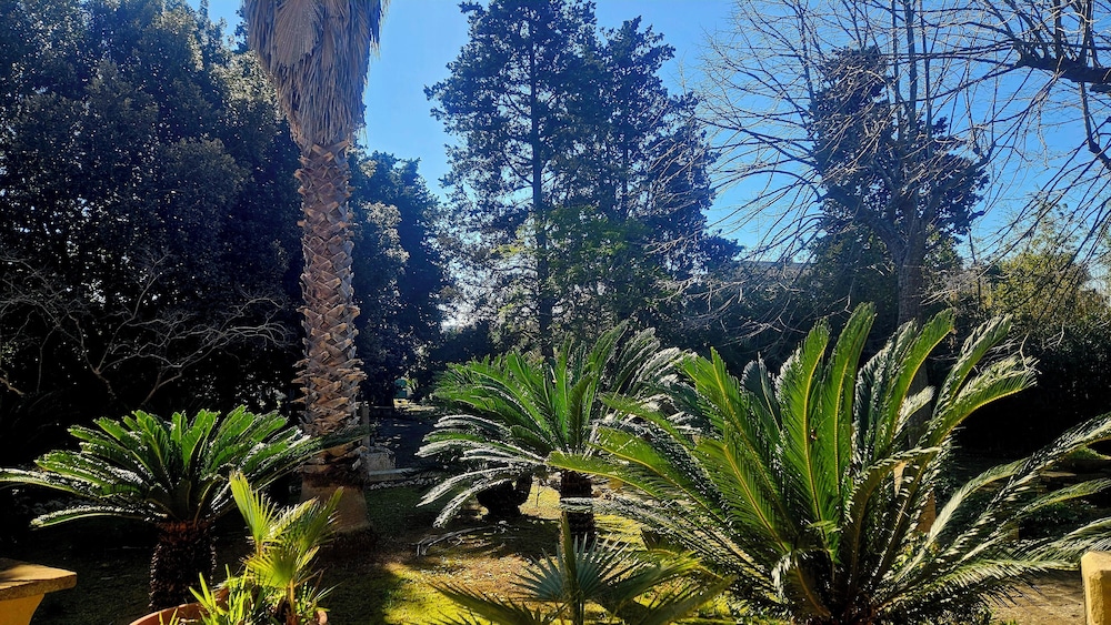 La Pineta in Lecce, Italy