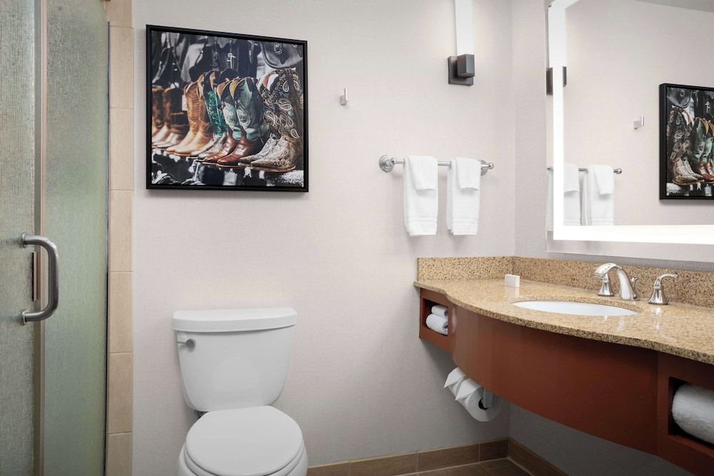 Hilton Garden Inn Fort Worth Medical Center - photo 17