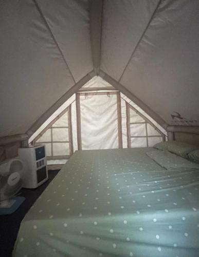 TK Coconut Camping — Kuala Selangor — photo 4