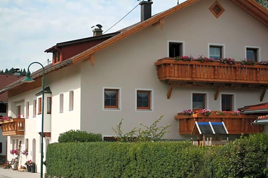 Haflingerhof Appenstein — Graen