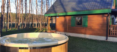 Domek na Mazurach w zagajniku przy jeziorze in Szczytno, Poland