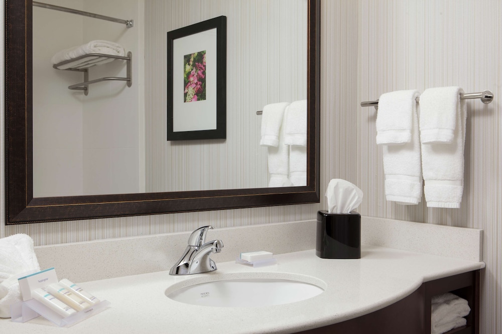 Hilton Garden Inn Bettendorf Quad Cities - photo 27