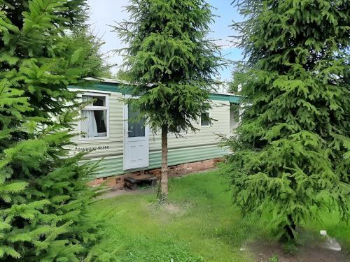 Domek angielski in Bialowieza, Poland