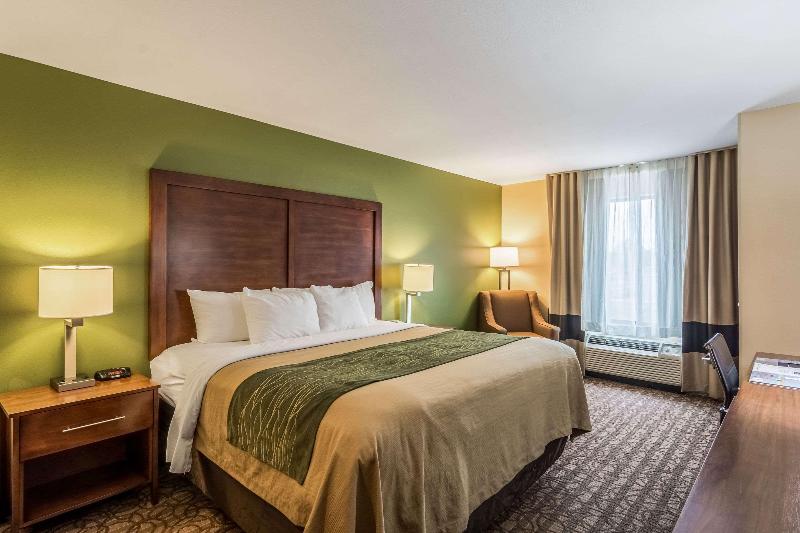 Comfort Inn & Suites Panama City North - photo 38