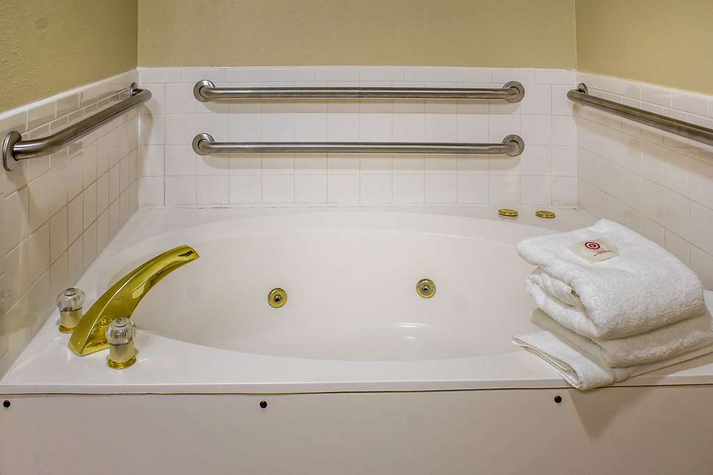Comfort Inn & Suites Cedar Rapids North Collins Road - photo 19