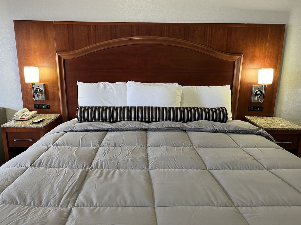 Casa Rosa Inn - photo 11