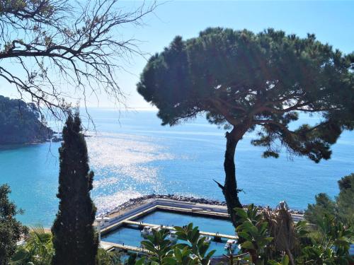 Papaya - last minute hotel in Lloret De Mar