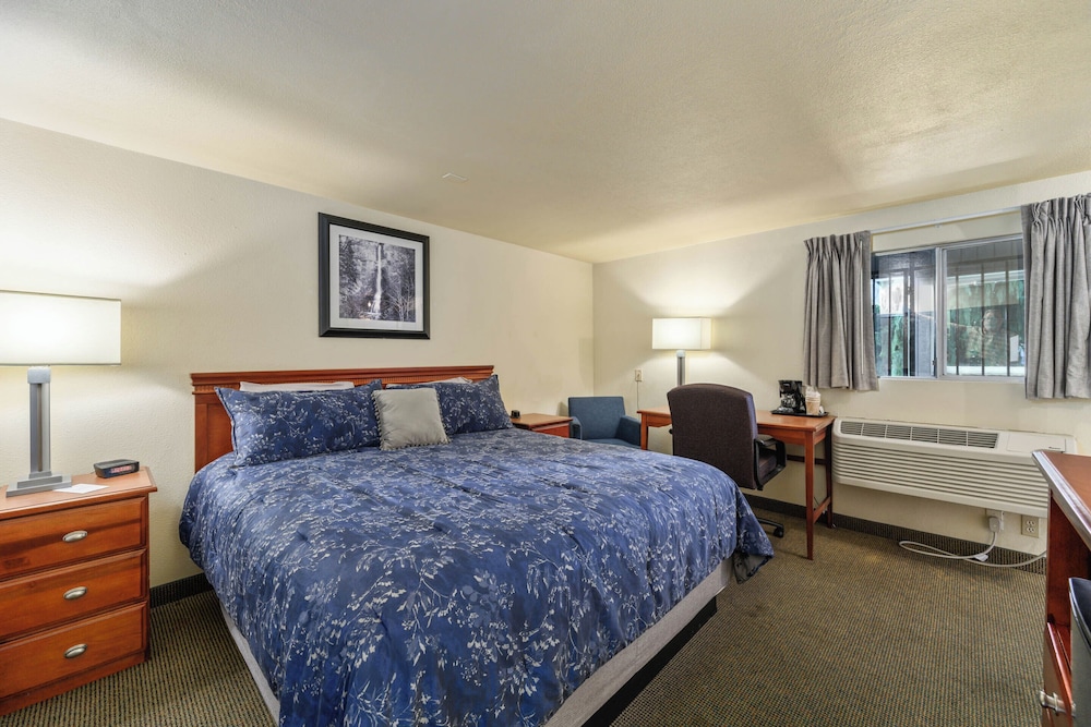 Cocusa Motel - photo 44