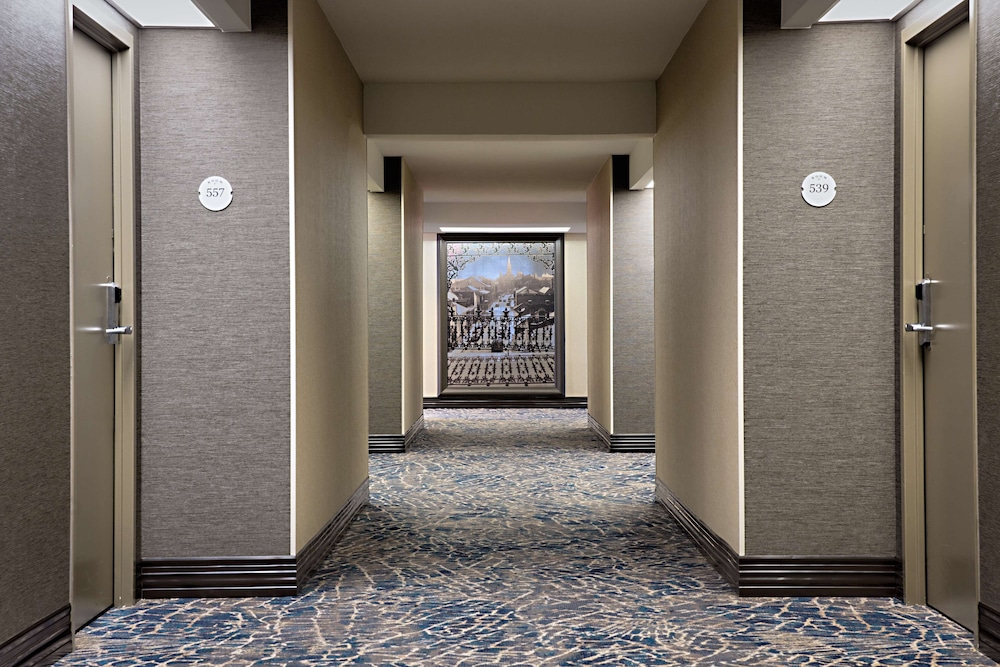 Hilton New Orleans Airport - photo 40