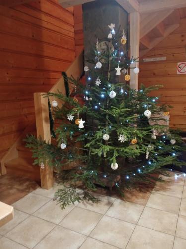 Domek Na kympkach in Istebna, Poland