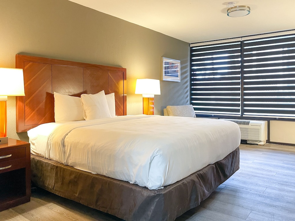 GreenTree Hotel and Extended Stay Channelview I 10 - photo 6