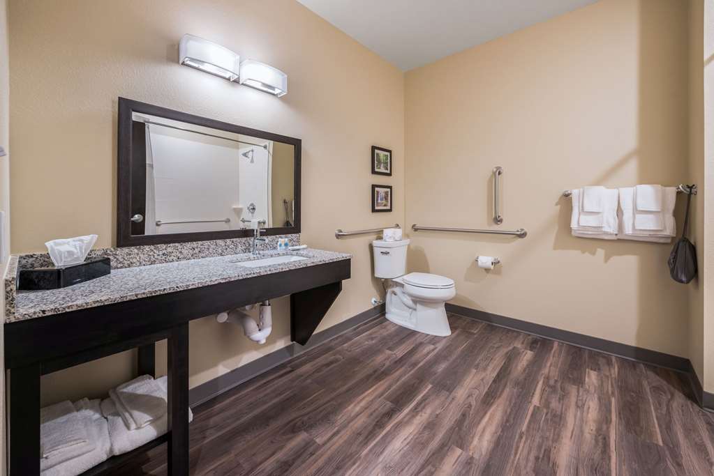 Comfort Suites Marysville Columbus Northwest - photo 20