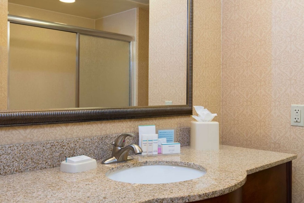 Hampton Inn Schenectady Downtown - photo 22