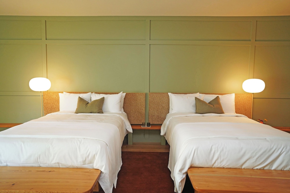 Albert Hotel - photo 7