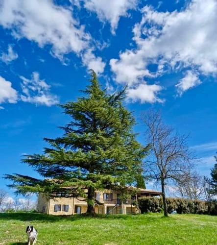 Les Hauts de Courrech - last minute hotel in Unknown City
