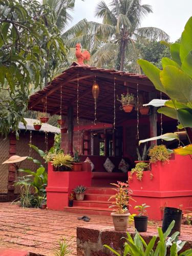 Surangi Homestays — Arambol — photo 5