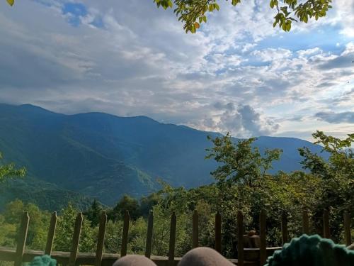 Cottage Panorama Merisi