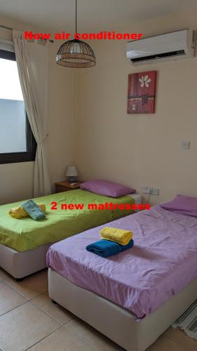 Spacious contemporary apartment — Pissouri — photo 5