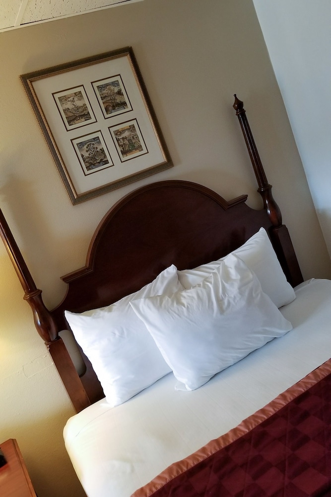 Hotel Manteo - photo 24