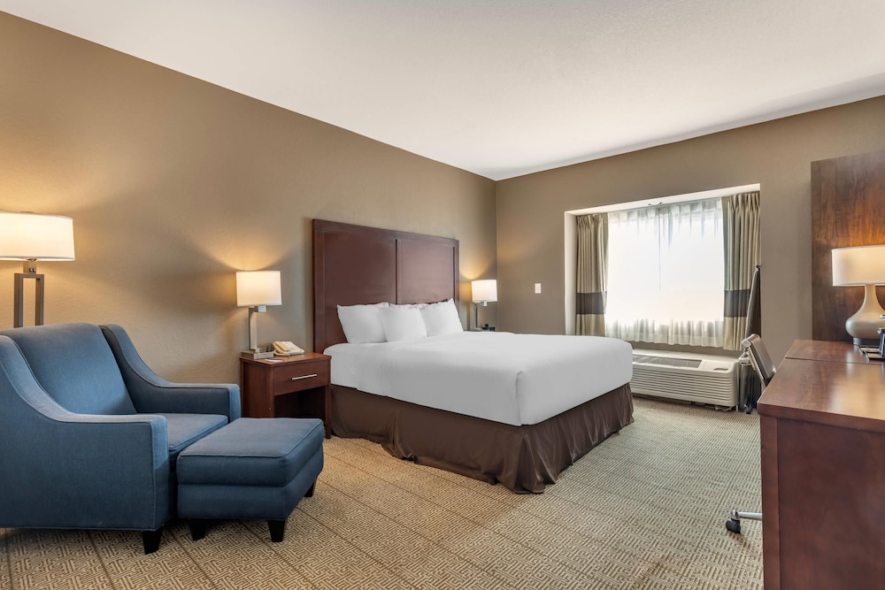 Comfort Inn & Suites Aztec Farmington Area - photo 14