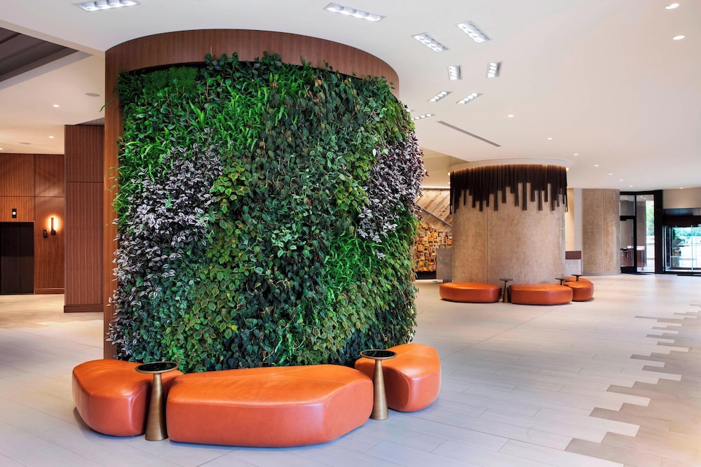 The Westin Chattanooga - photo 5