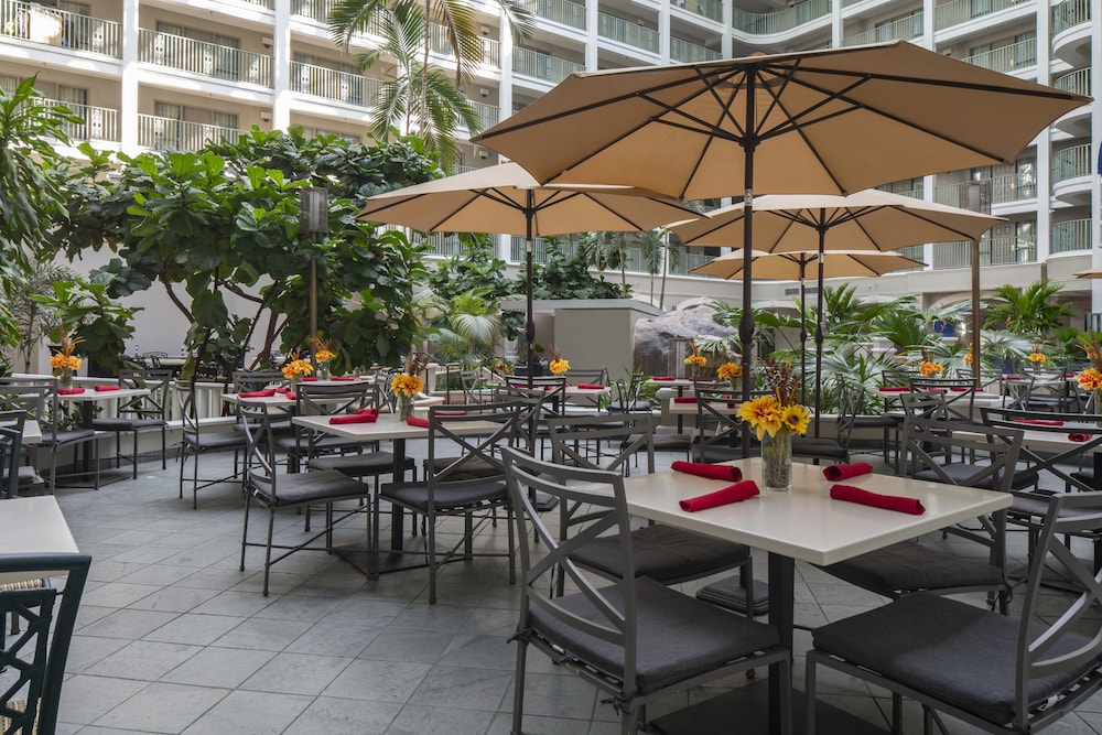 Sheraton Suites Fort Lauderdale at Cypress Creek - photo 19