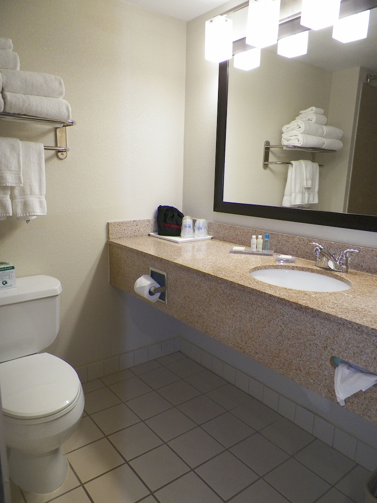 Holiday Inn Express & Suites Cedar Falls Waterloo by IHG - photo 18