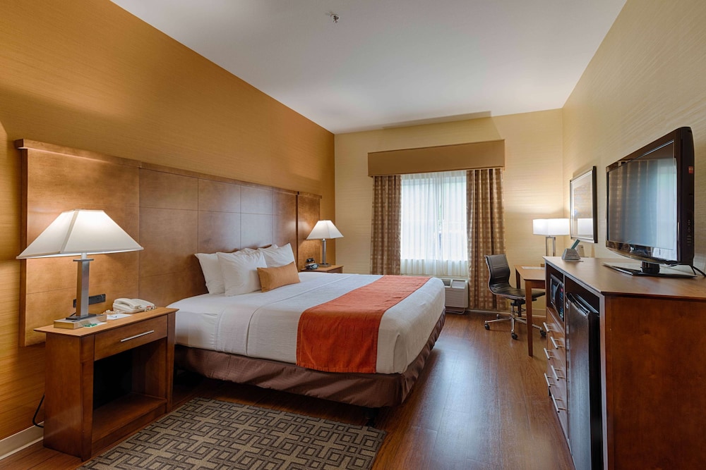 Best Western Plus Delta Inn & Suites - photo 14